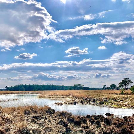 Veluwse Wolf: Natuurlijk Genieten! Otterlo Exteriér fotografie