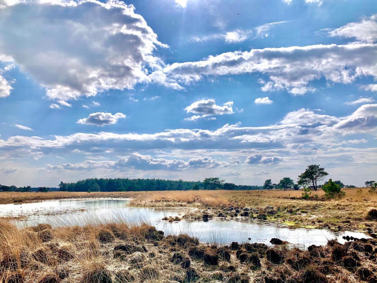 Veluwse Wolf: Natuurlijk Genieten! Otterlo Exteriér fotografie